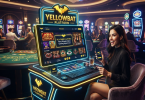 Yellowbat Platform